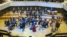 IMG 7008