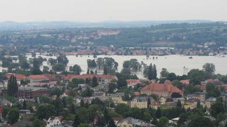 IMG 7999