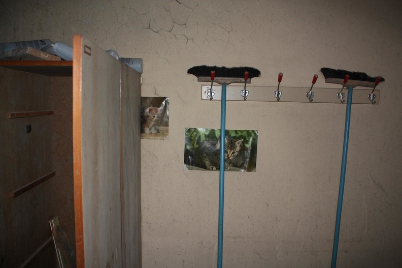 IMG 0819