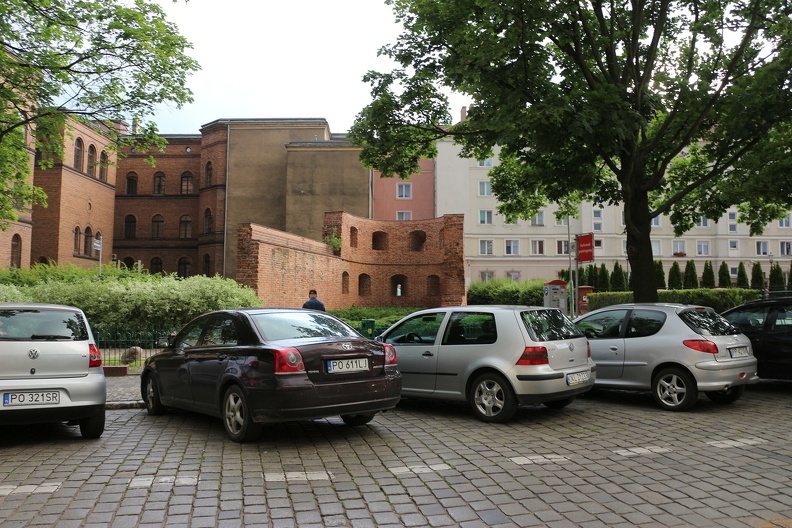 IMG 4941