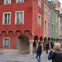 IMG 4951