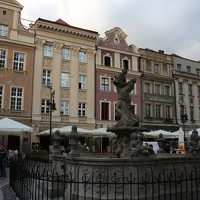 IMG 4957